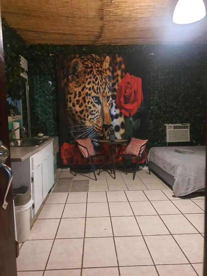 Mjac Apartment Jungle Beach San Juan