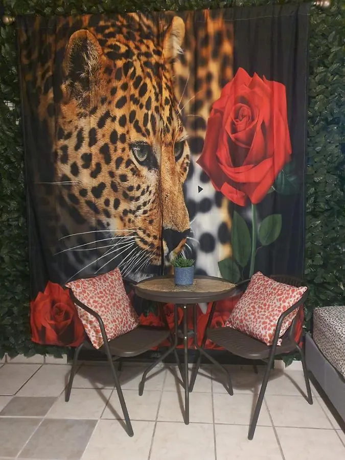 Mjac Apartment Jungle Beach San Juan 0*,