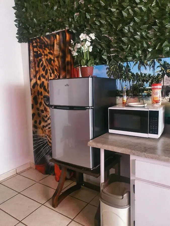 Mjac Apartment Jungle Beach San Juan